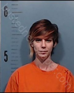 BURD, TONI MARIE | 2019-01-17 Taylor County, Texas Booking