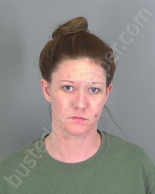 ALICIA ELIZABETH BLANTON #, Spartanburg County, South Carolina - 2019-01-17 13:43:12