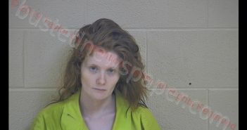 AMBER K WALLS | 2019-01-17 19:57:00 Taylor County, Kentucky Booking