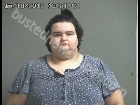 MOORE AMANDA | 2019-01-18 Sandusky County, Ohio Booking