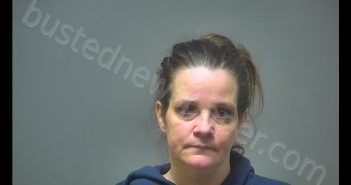 KERI MARIE WILLIAMS | 2019-01-18 04:20:00 Isabella County, Michigan Booking