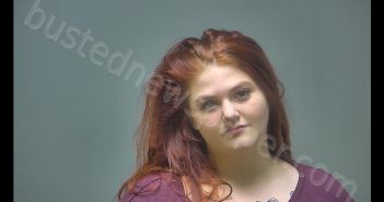 KALIE MAE TAYLOR | 2019-01-19 05:00:00 Isabella County, Michigan Booking