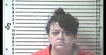 DEANNA LYNN HAMILTON | 2019-01-20 22:04:00 Hardin County, Kentucky Booking