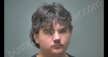 DAVID JEFFREY STROUD | 2019-01-20 02:42:00 Isabella County, Michigan Booking