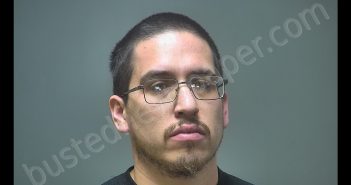 TREVOR MARTIN LERMA | 2019-01-20 Isabella County, Michigan Booking