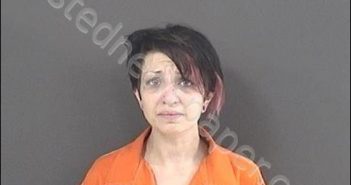 GOGLIA, ANGELA MARIE | 2019-01-21 18:39:00 Roanoke County, Virginia Booking