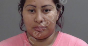 ESTRADA, REYNA ARACELI NINO | 2019-01-22 Hidalgo County, Texas Booking