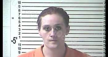 ANNA L KRIMM | 2019-01-22 20:00:00 Hardin County, Kentucky Booking