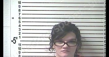 CLARISSA CELESTE PADGETT | 2019-01-22 19:58:00 Hardin County, Kentucky Booking