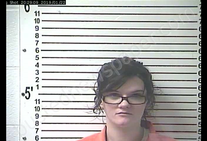 CLARISSA CELESTE PADGETT #, Hardin County, Kentucky - 2019-01-22 19:58:00