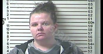 STEPHANIE NICOLE MAUPIN | 2019-01-23 13:45:00 Hardin County, Kentucky Booking