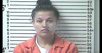 LINDA KATHRYN SHEPHERD | 2019-01-23 12:39:00 Hardin County, Kentucky Booking