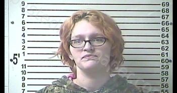 ASHLEY MARIE SABIE | 2019-01-23 11:15:00 Hardin County, Kentucky Booking