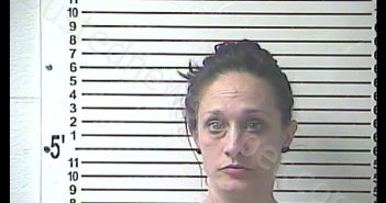 CHRISTINA MARIE VILLALOBOS | 2019-01-23 21:24:00 Hardin County, Kentucky Booking