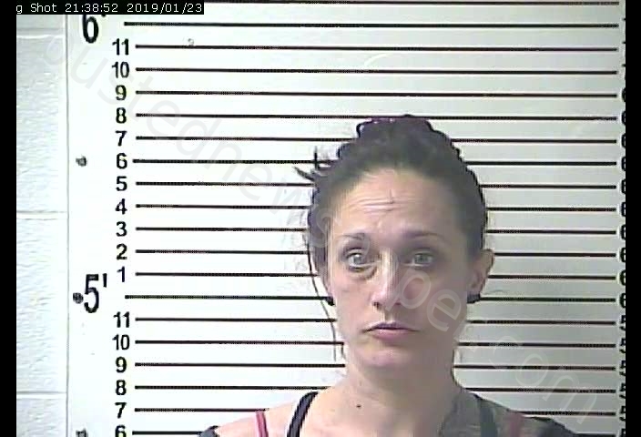 CHRISTINA MARIE VILLALOBOS #, Hardin County, Kentucky - 2019-01-23 21:24:00