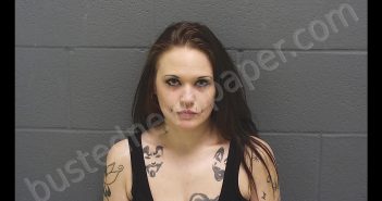 JAMESOLYN MARIE HURSEY | 2019-01-24 06:23:00 Montgomery County, Indiana Booking