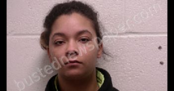 REVELL, CHELSEY TYANE | 2019-01-24 09:14:00 Robertson County, Tennessee Booking