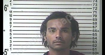 BRIAN DAVID BASS | 2019-01-24 15:13:00 Hardin County, Kentucky Booking