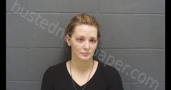 SKYLER SARAH SHELTON | 2019-01-24 12:24:00 Montgomery County, Indiana Booking