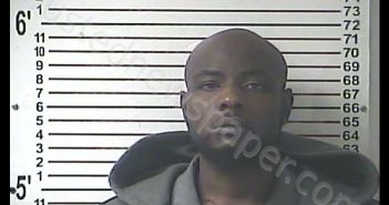 ROGERICK LADALE LAY | 2019-01-24 14:00:00 Hardin County, Kentucky Booking