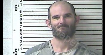 BRIAN MATTHEW WAY | 2019-01-24 11:54:00 Hardin County, Kentucky Booking