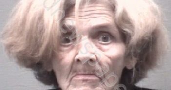 CAPPS, RACHEL JANE | 2019-01-24 New Hanover County, North Carolina Booking