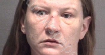 WHITT, TARA DAWN | 2019-01-24 New Hanover County, North Carolina Booking