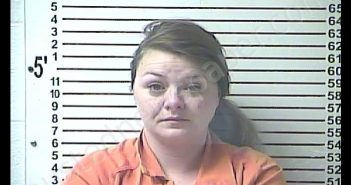 SARAH ELIZABETH BALLINGER | 2019-01-25 23:22:00 Hardin County, Kentucky Booking