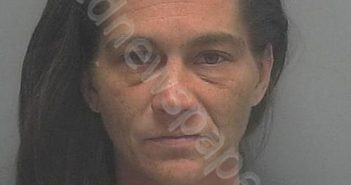 WILLIAMS, ERIN ELIZABETH | 2019-01-26 14:38:00 Lee County, Florida Booking