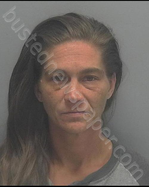 WILLIAMS, ERIN ELIZABETH #, Lee County, Florida - 2019-01-26 14:38:00