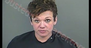 <B>LISA</B> <B>MARIE</B> <B>YON</B>–<B>FLEMING</B> #, Anderson County, South Carolina - 2019-01-26 18:45:00