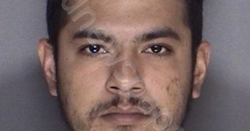 DIAZ, ARMANDO | 2019-01-27 08:11:00 Ellis County, Texas Booking