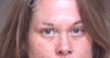 WHITE, ASHLEY NICOLE | 2019-01-28 22:57:00 Lincoln County, North Carolina Booking