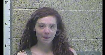 BRITTANY N PRICE | 2019-01-28 14:12:00 Henderson County, Kentucky Booking