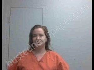 CYNTHIA RENEE PERIMAN | 2019-01-30 11:57:00 Livingston County, Missouri Booking