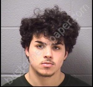 HERNANDEZ, JAMES MICHAEL | 2019-01-31 23:34:00 Will County, Illinois Booking