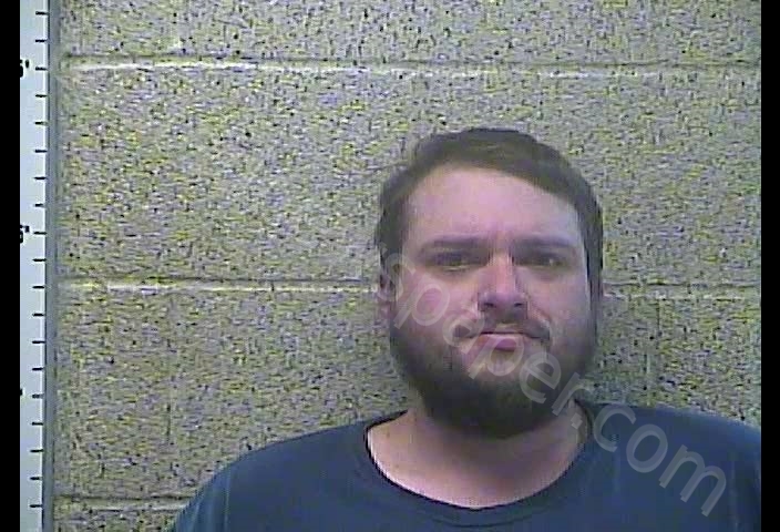 ANDREW THOMAS NELSON #, Henderson County, Kentucky - 2019-02-01 23:39:00