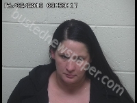 HALL STEPHANIE #, Scioto County, Ohio - 2019-02-01
