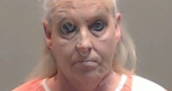 MORRIS, DEBORAH JEAN | 2019-02-01 Wood County, Texas Booking