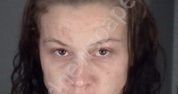 BRUNNER, <B>JENNIFER</B> <B>LYNN</B> #, Pasco County, Florida - 2019-02-01 20:10:00