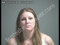 HILLE ALEXIS | 2019-02-02 Sandusky County, Ohio Booking
