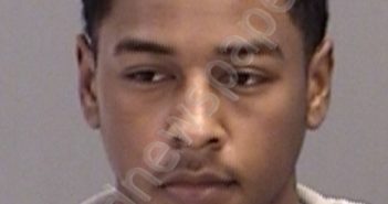 <B>LUNA</B> <B>JOHNSON</B>, <B>JUKOREY</B> <B>DESHAWN</B> #, Brazos County, Texas - 2019-02-02