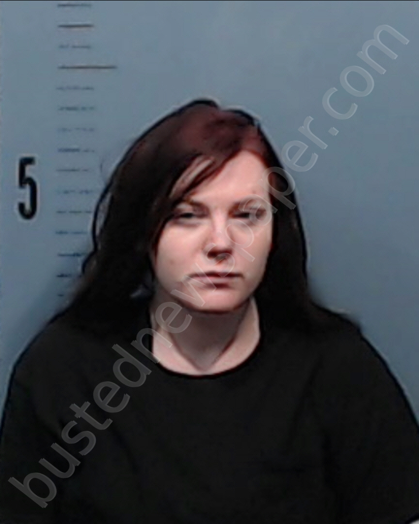 MCKENZIE, WHITNEY LYNN #, Taylor County, Texas - 2019-02-02