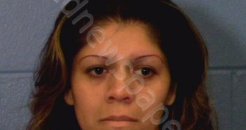 HERRERA-MORALES, DANIELLE NICOLE | 2019-02-02 Williamson County, Texas Booking