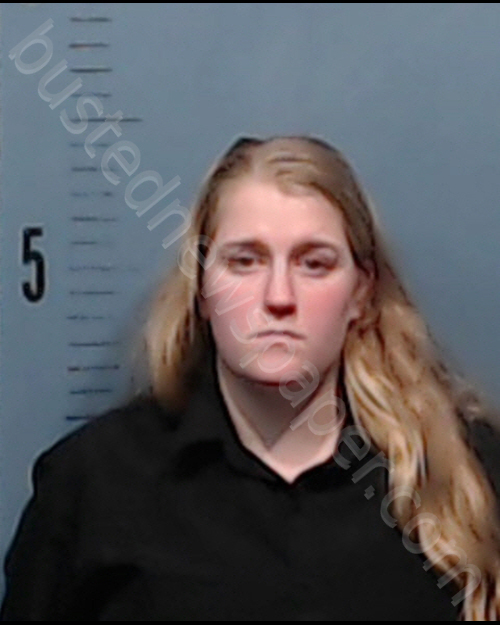 GIRDNER, KRISTI EVELYN #, Taylor County, Texas - 2019-02-02