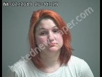 WELCH ANNA | 2019-02-02 Sandusky County, Ohio Booking