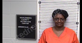 JOHNSON, CRYSTAL | 2019-02-02 09:26:00 Muhlenberg County, Kentucky Booking