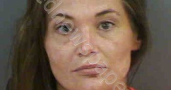 BANNON,ANN MARIE | 2019-02-02 Collier County, Florida Booking