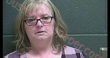 CONNIE MAE BROCK | 2019-02-03 02:26:00 Perry County, Indiana Booking