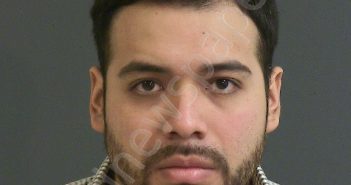 RAMIREZ-VERGARA, CRISTIAN SERGIO | 2019-02-03 14:54:00 Charleston County, South Carolina Booking